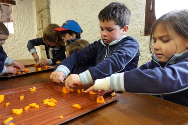 7º Álbum Graja Escuela. Taller de Mermelada 3.