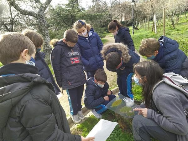 Salida con el Arboreto Luis Ceballos