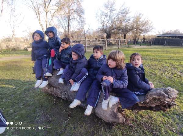 9º Álbum Granja Escuela. Conocemos animales de la granja 2.